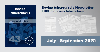BT Publications newsletter