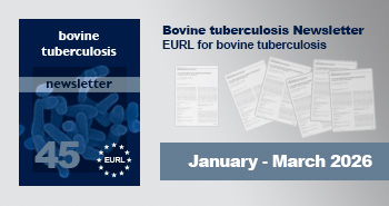 BT Publications newsletter
