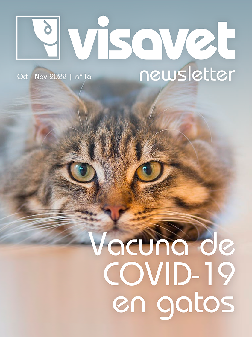 VISAVET Newsletter octubre-diciembre 2022