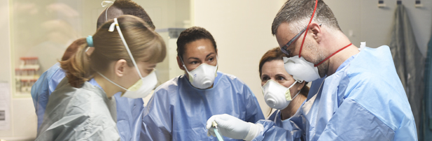 Joann Börjesson, Tomas Jinnerot, Celeste Matos at VISAVET Center of Complutense University