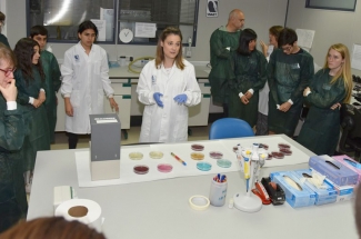 Cultivo, identificacin microbiolgica y resistencia a antimicrobianos