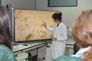 Irene Martínez: Diagnosis of zoonoses in animal protection centers