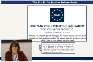 Lucía de Juan EU-RL for Bovine Tuberculosis Director (VIII Workshop)