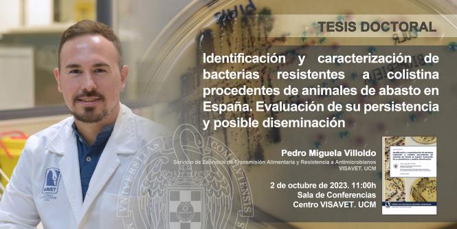 Pedro Miguela Villoldo. Identification and characterization of colistin resistant bacteria from food- producing animals in Spain. Assessment of its persistance and possible  dissemination