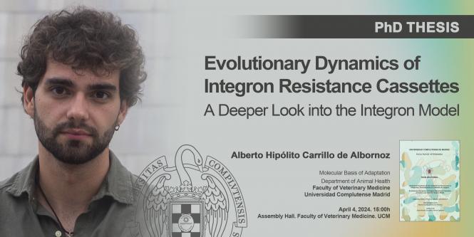 Evolutionary Dynamics of Integron Resistance Cassettes. A Deeper Look into the Integron Model. Alberto Hiplito Carrillo de Albornoz