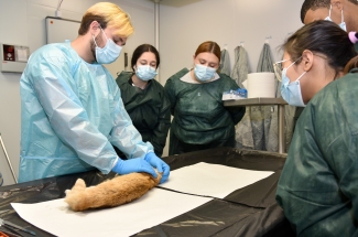 Javier de Pablo Moreno. Semana de la Ciencia 2025