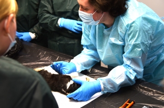 Adrían Arribas Mercado. Semana de la Ciencia 2025 