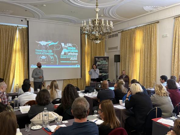 Beatriz Romero, EU-RL for Bovine Tuberculosis Workshop. Edition X