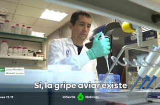 Julio Álvarez. Yes, avian flu exists