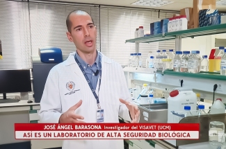José Ángel Barasona. Así se trabaja con peste porcina en un laboratorio de bioseguridad nivel 3: Una fuga es muy improbable