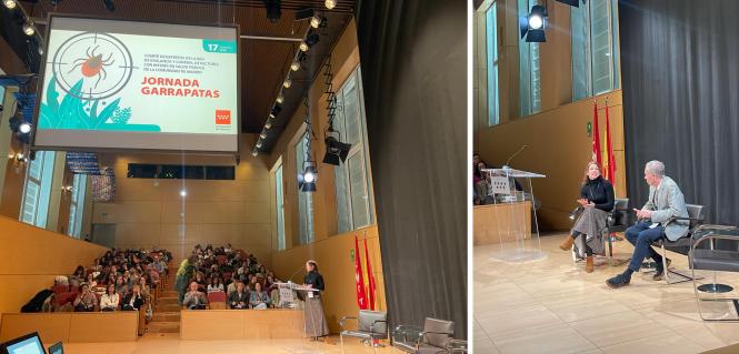 Nerea Garcia. Crimean-Congo Hemorrhagic Fever: current situation in Spain