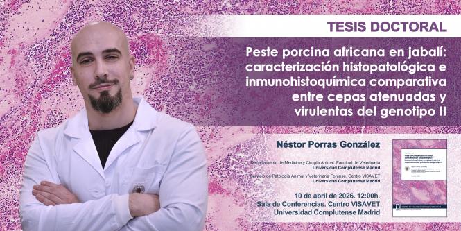 Néstor Porras González. Peste porcina africana en jabalí: caracterización histopatológica e inmunohistoquímica comparativa entre cepas atenuadas y virulentas del genotipo II