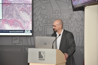 Néstor Porras González. Peste porcina africana en jabalí: caracterización histopatológica e inmunohistoquímica comparativa entre cepas atenuadas y virulentas del genotipo II Néstor Porras González. African swine fever in wild boar: comparative histopathological and immunohistochemical characterizati