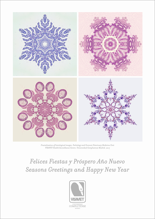 Seasons Greetings and Happy New Year