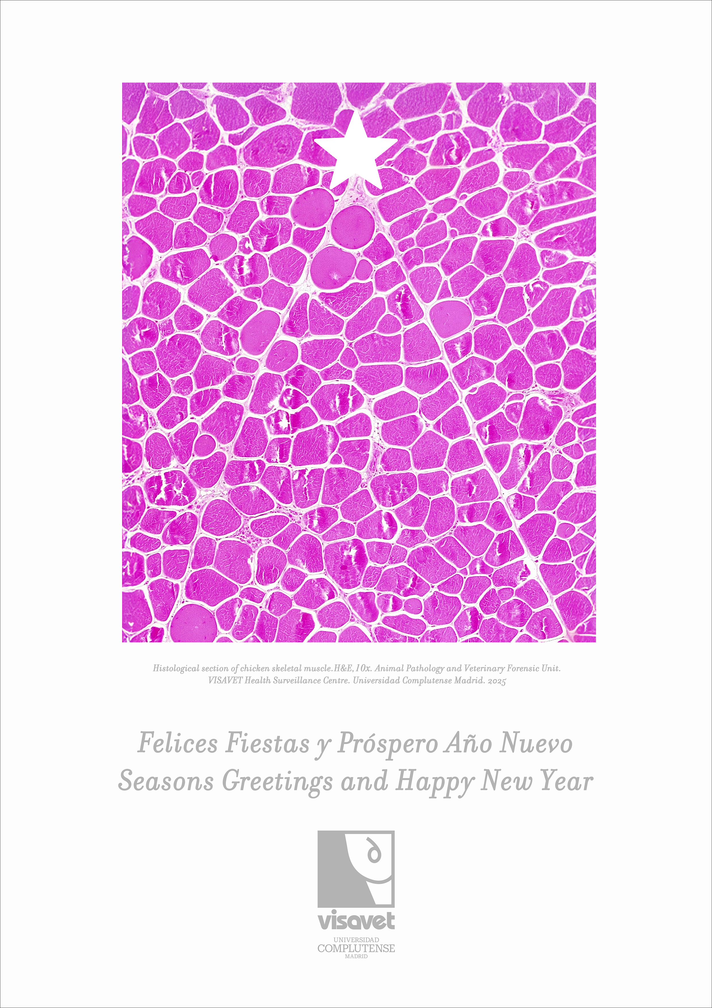 Seasons Greetings and Happy New Year