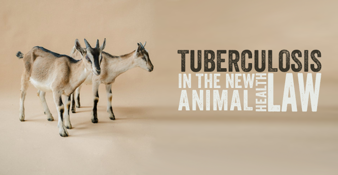 La tuberculosis en la nueva Ley de Sanidad Animal