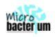 Microbacterium youtube